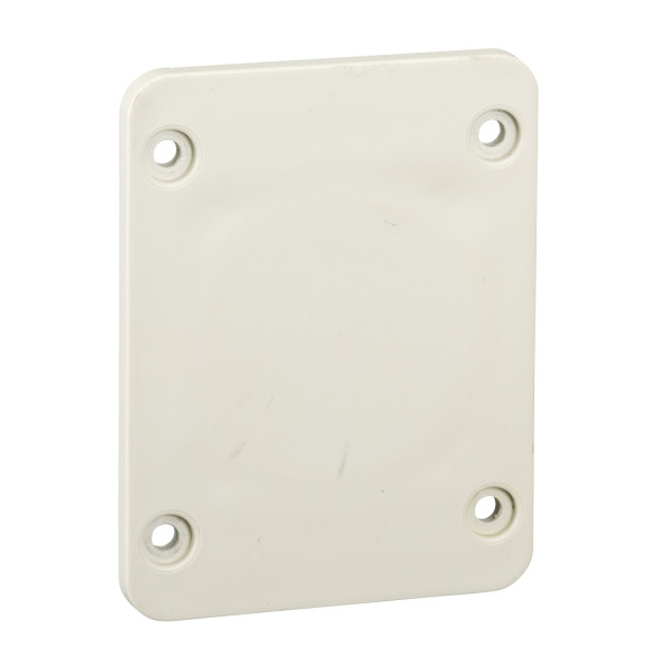 Schneider Electric Accessoire de Coffret Plaque 65 X 85 Mm pour Prise 50 X 50 Mm
