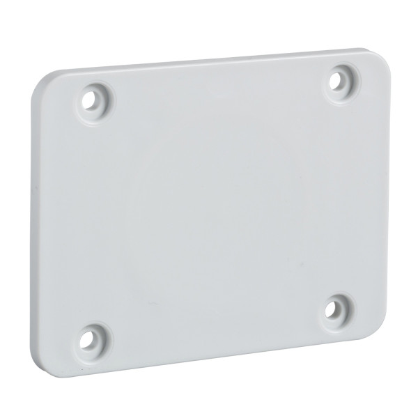 Schneider Electric Accessoire de Coffret Plaque 65 X 85 Mm pour Prise 50 X 50 Mm