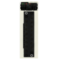 Schneider Electric Dig 8I 24Vdc 8Q Source Tr