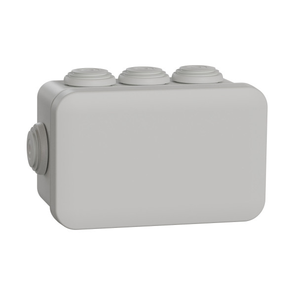 Boîte de dérivation 105x65x55 Schneider Mureva Box étanche 8 embouts Gris IP55