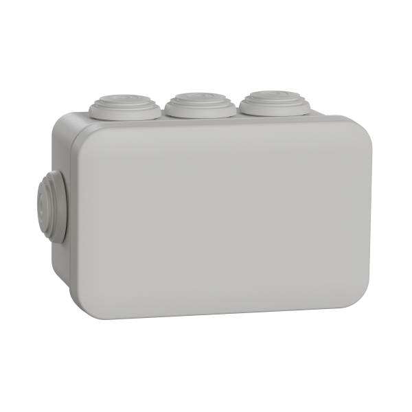 Boîte de dérivation 105x65x55 Schneider Mureva Box étanche 8 embouts Gris IP55