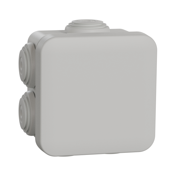 Boite de dérivation - embout - 65x65x45 - gsb - Schneider Electric - ENN05142