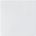 Obturateur avec enjoliveur, blanc