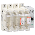 Schneider Electric Interrupteur sectionneur Fusible 4X 250A 1