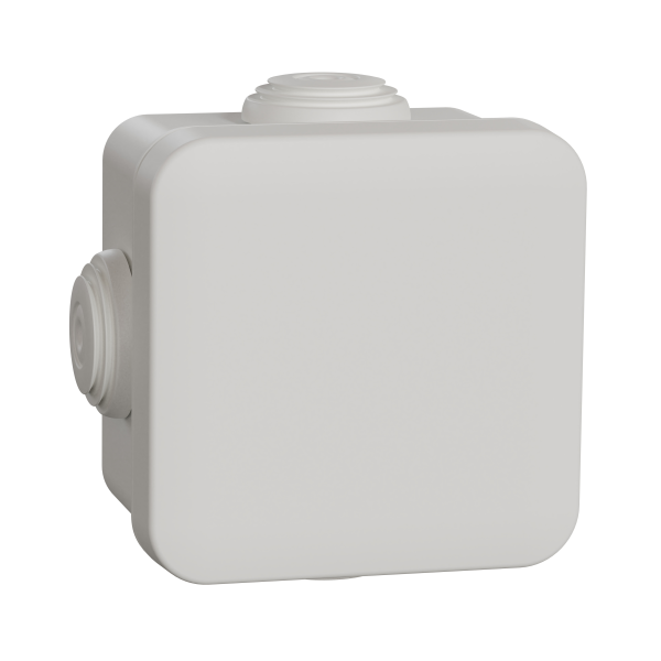 Boîte de dérivation 65x65x45 Schneider Mureva box étanche 4 embouts Blanc polaire IP55