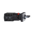 Schneider Electric Sélecteur à Gradins à Came 2 Pôles 60° 10 A Fixation Diam16 ou 22 Mm