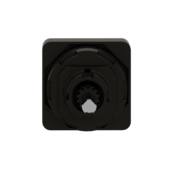 Schneider Electric Tête de Manoeuvre 45 X 45 Mm Métallisé Crosse Noire Marquage à Graver