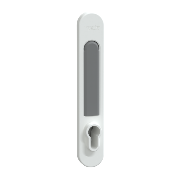 Prismaset g active - poignée euro prismaset - ip30 & pack 250 - blanc ral9003