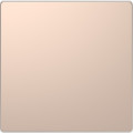 D-life - enjoliveur pour commande simple sans marquage - métal champagne