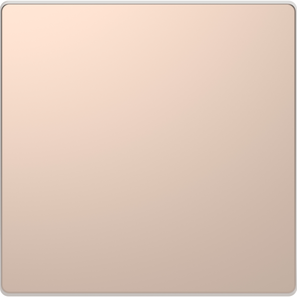 D-life - enjoliveur pour commande simple sans marquage - métal champagne