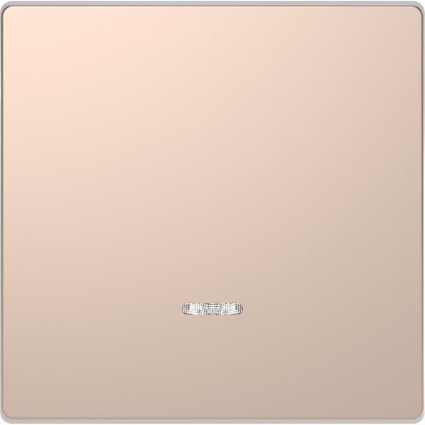 D-life - enjoliveur pour commande simple avec voyant - métal champagne