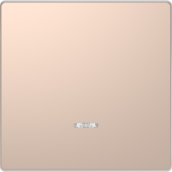 D-life - enjoliveur pour commande simple avec voyant - métal champagne