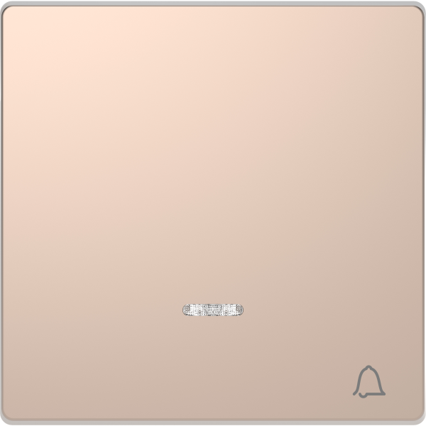 D-life - enjoliveur pour commande simple voyant et picto carillon - métal champ