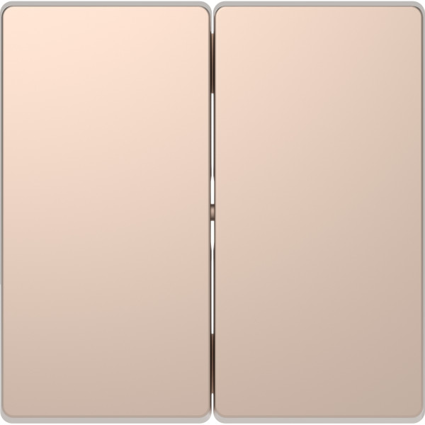 D-life - enjoliveur pour commande double sans marquage - métal champagne