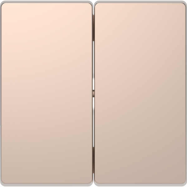 D-life - enjoliveur pour commande double sans marquage - métal champagne