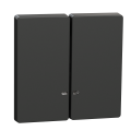 D-life - enjoliveur pour commande double avec voyant - anthracite