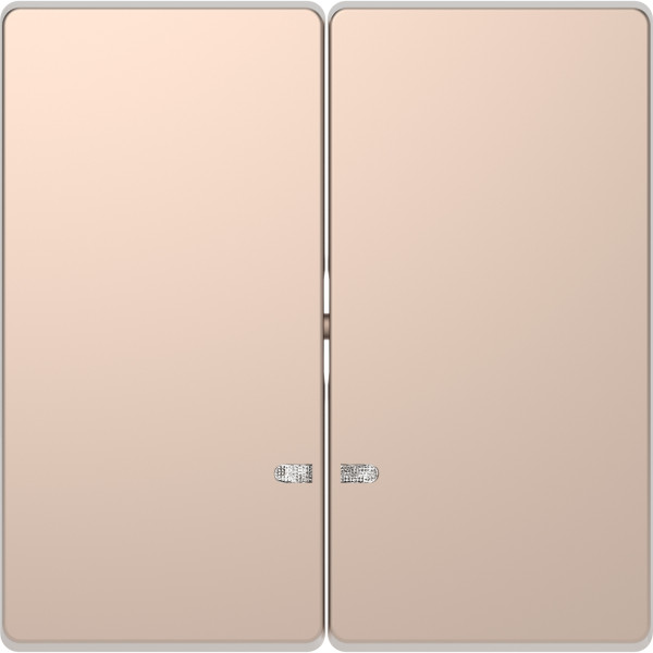 D-life - enjoliveur pour commande double avec voyant - métal champagne