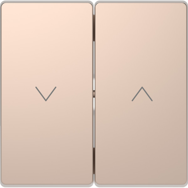 D-life - enjoliveur pour commande double volets roulants - métal champagne