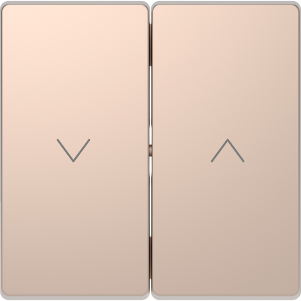 D-life - enjoliveur pour commande double volets roulants - métal champagne