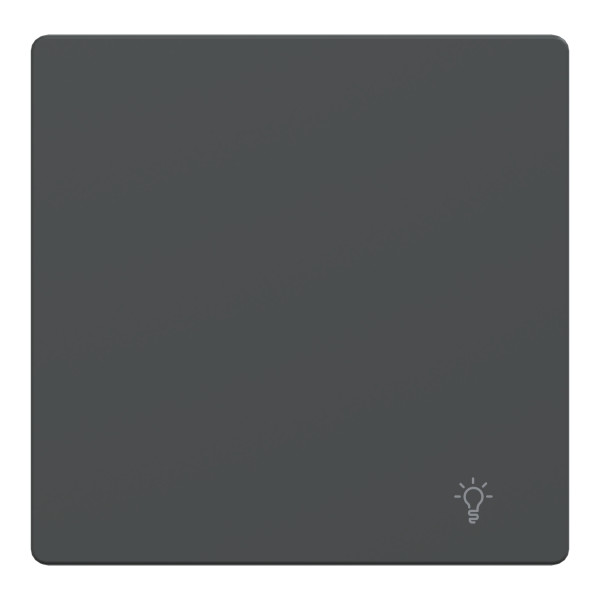 D-life - enjoliveur pour commande simple avec picto lampe - anthracite