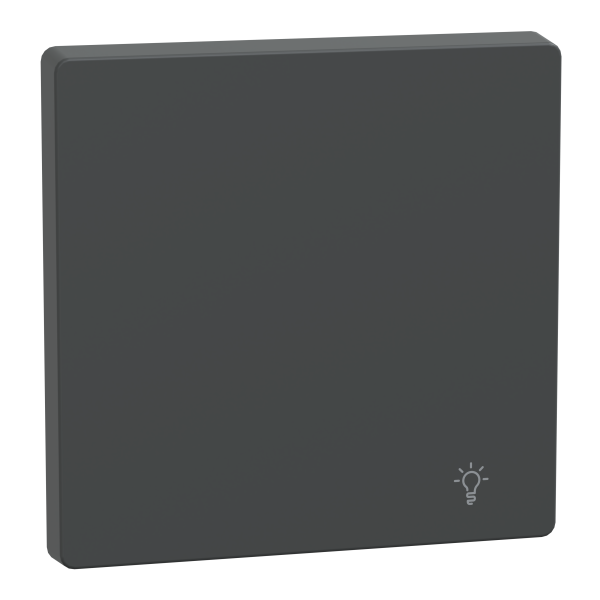 D-life - enjoliveur pour commande simple avec picto lampe - anthracite