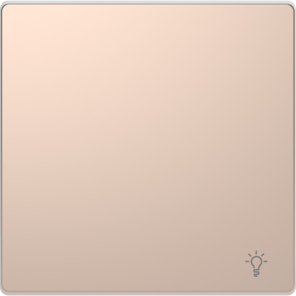 D-life - enjoliveur pour commande simple avec picto lampe - métal champagne
