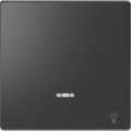 D-life - enjoliveur pour commande simple voyant et picto lampe - anthracite