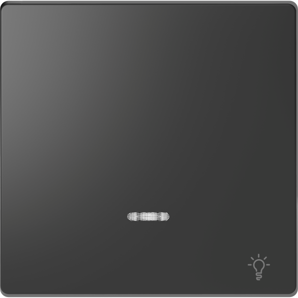 D-life - enjoliveur pour commande simple voyant et picto lampe - anthracite