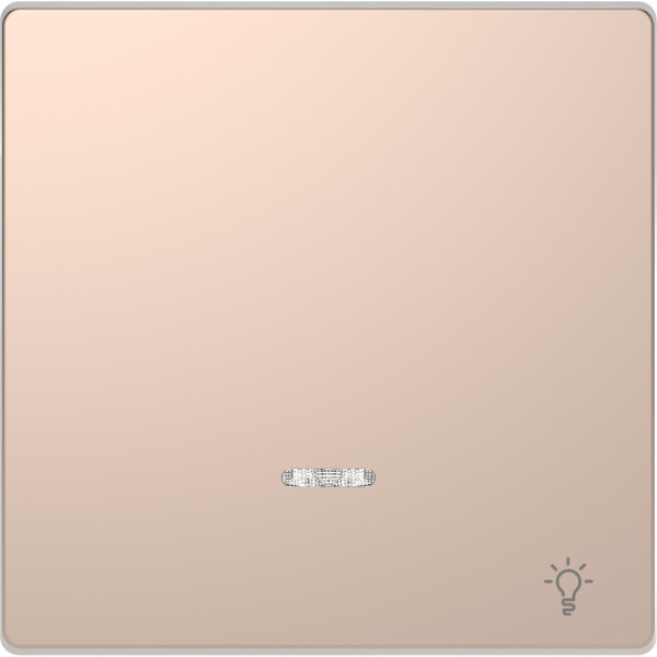 D-life - enjoliveur pour commande simple voyant et picto lampe - métal champagne