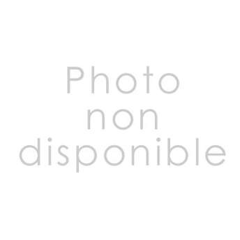 Vis inox pour platine ax long 20 mm (5615)