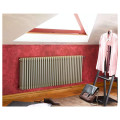 Radiateur tubulaire Acova Vuelta ACAM6C2-11-060 horizontal