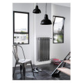 Radiateur tubulaire Acova Vuelta ACAM6C4-10-120 etroit