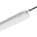 Réglette étanche LED Philips CoreLine Gen2 WT120C G2 60W 865 6500K 6000lm gris 1500mm