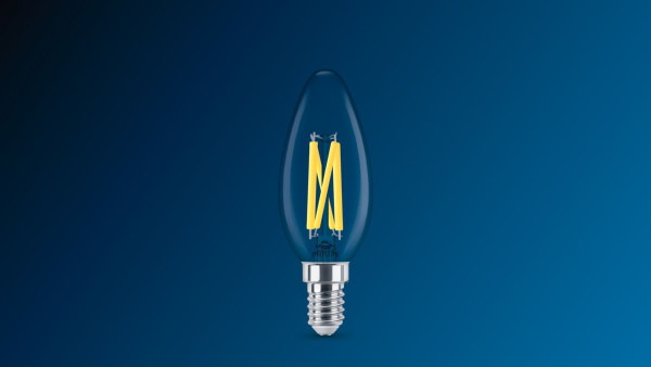 Master sphérique e27 2,5-25w 922-927 gradable dimtone 340lm 25000h filament