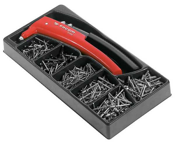 Module rivetage