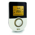 Delta Dore Calybox 1020 WT Gestionnaire d'énergie 2 Zones + Indicateur de consommations - Toutes Énergies
