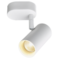 Noblo, applique et plafonnier intérieur, simple, blanc, led, 8w, 2700k, variable triac