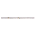 Grazia ip flexstrip, bandeau led extérieur, 5 m, blanc, led, 2700-6500k, ip54