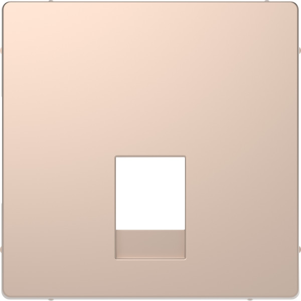 D-life - enjoliveur pour prise rj11/rj12 - métal champagne