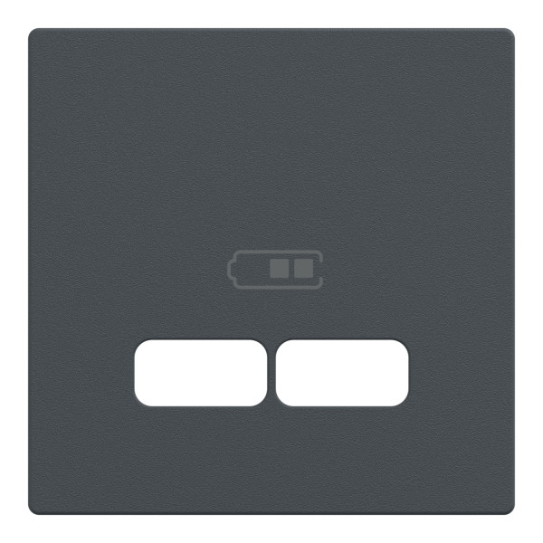Enjoliveur Anthracite Mat pour Prise Double USB 2,1 A System M Schneider