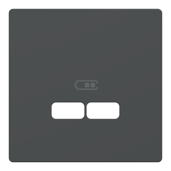 D-life - enjoliveur pour prise usb - anthracite