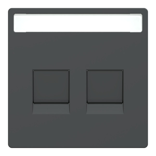 D-life - enjoliveur prise support double rj45 compatible keystone - anthracite