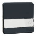 Poussoir avec porte étiquette gris Schneider Mureva Styl IP55 IK08
