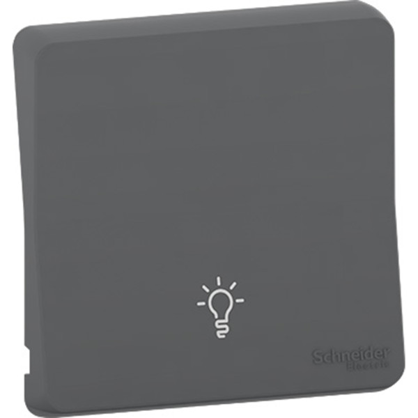 Enjoliveur gris Schneider Mureva Styl avec symbole lumière IP55 IK07