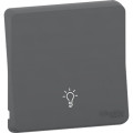 Enjoliveur gris Schneider Mureva Styl avec symbole lumière IP55 IK07