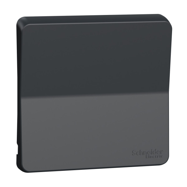 Enjoliveur gris Schneider Mureva Styl avec symbole lumière IP55 IK07