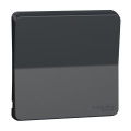 Enjoliveur gris Schneider Mureva Styl avec symbole lumière IP55 IK07