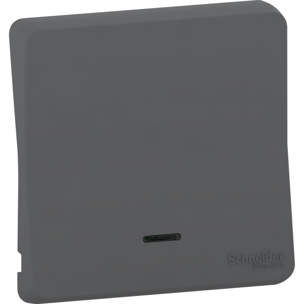 Enjoliveur gris Schneider Mureva Styl simple pour voyant lumineux IP55 IK08