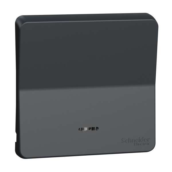 Enjoliveur gris Schneider Mureva Styl simple pour voyant lumineux IP55 IK08