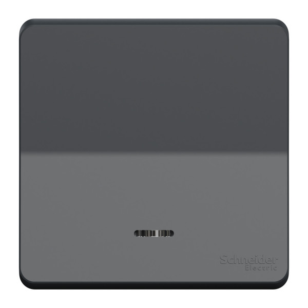 Enjoliveur gris Schneider Mureva Styl simple pour voyant lumineux IP55 IK08